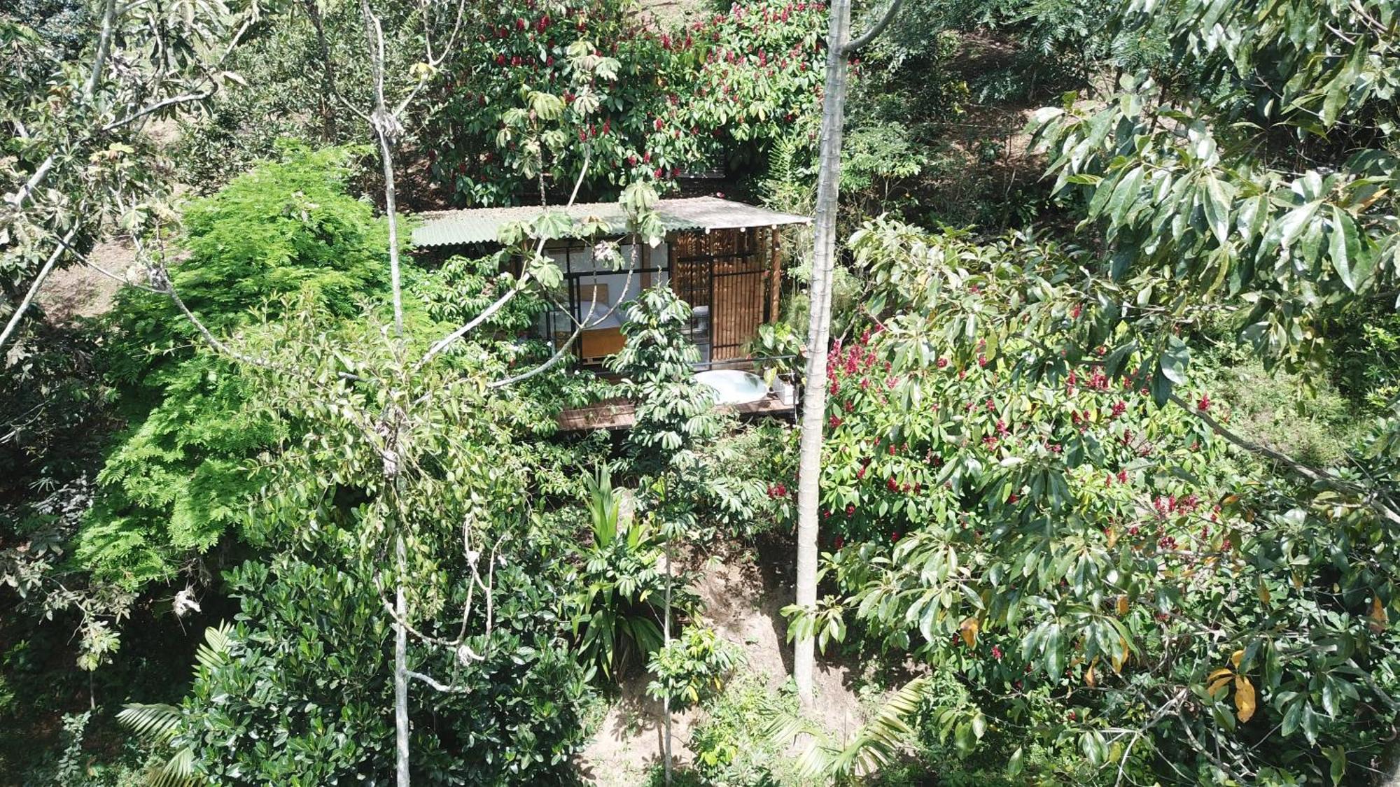 Ecohotel Alma Calarcá Εξωτερικό φωτογραφία